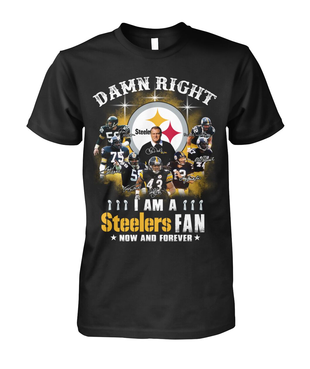 Pittsburgh Steelers damn right i am a Steelers fan 3d shirt hoodie 2