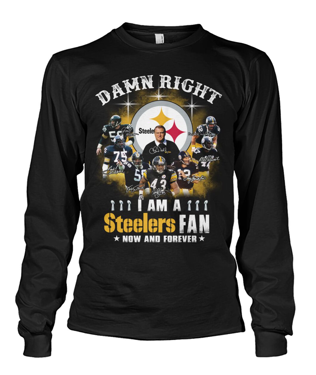 Pittsburgh Steelers damn right i am a Steelers fan 3d shirt hoodie 4 Pittsburgh Steelers damn right i am a Steelers fan 3d shirt hoodie 3