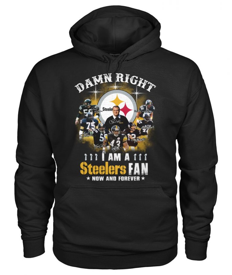 Pittsburgh Steelers damn right i am a Steelers fan 3d shirt hoodie (4) Pittsburgh Steelers damn right i am a Steelers fan 3d shirt hoodie 4