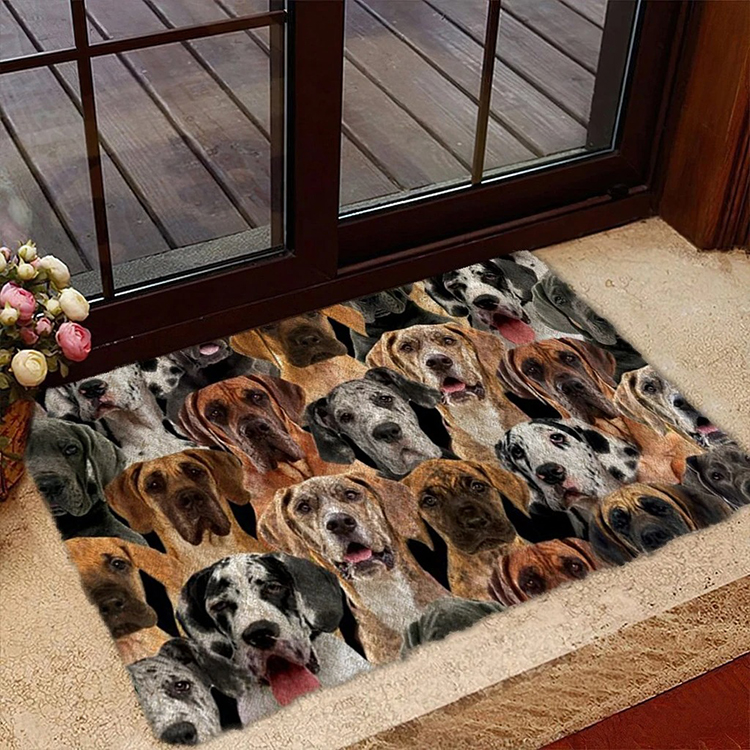 Keep your floors clean with these top indoor and outdoor mats in 2021 1 A Bunch Of Great Danes Doormat