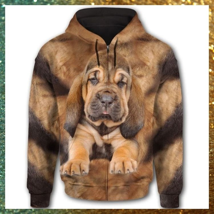 Bloodhound Face 3d all over print hoodie 2 Bloodhound Face 3d all over print hoodie 2