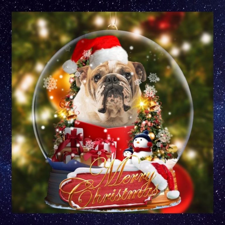 Bulldog gift Merry Christmas snow globe Ornament 2