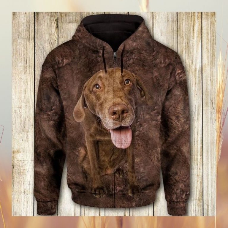 Chesapeake Bay Retriever Face All Over Print 3d Hoodie, Zip Hoodie (2) Chesapeake Bay Retriever face All Over Print 3d hoodie zip hoodie 2