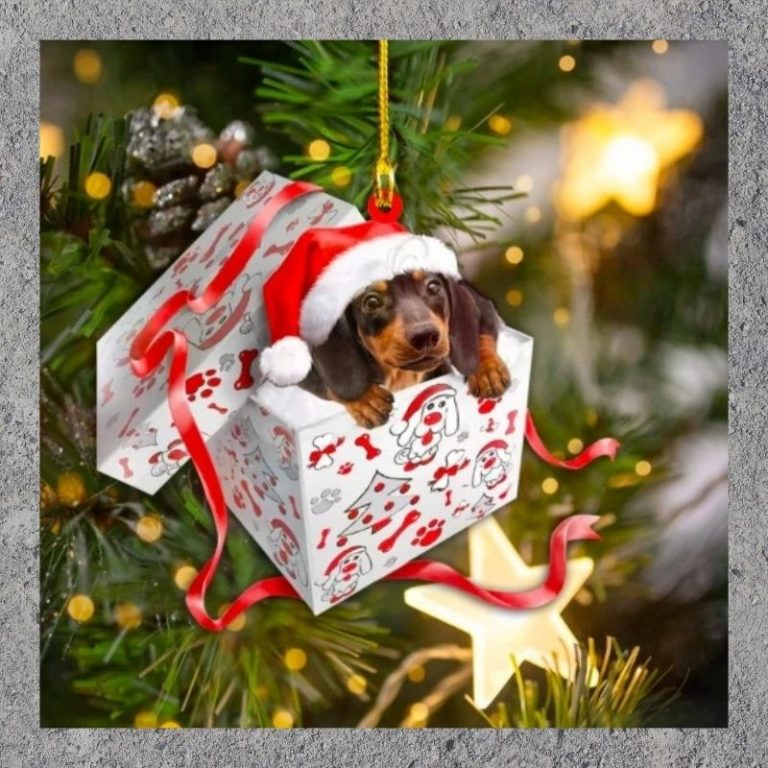 Christmas gift Dashund Ornament 2