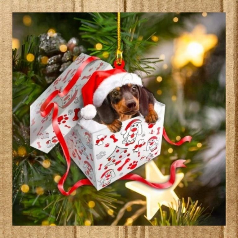 Christmas gift Dashund Ornament 3