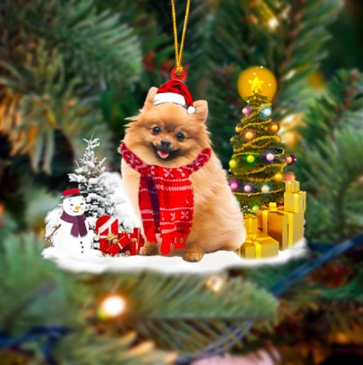 Christmas gift tree Pomeranian Ornament 1