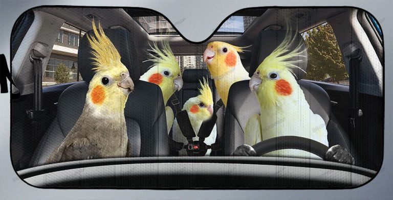 Cockatiel Parrot family car sunshade 3