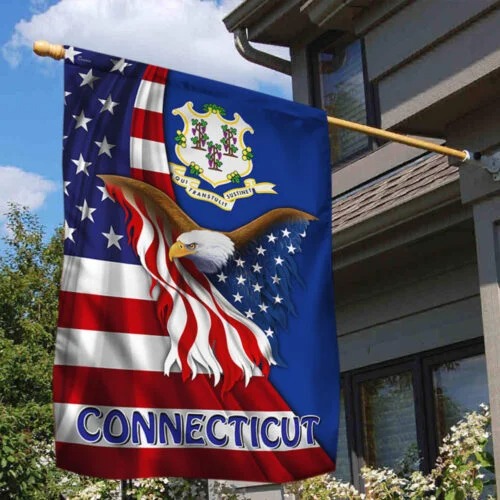 Connecticut Eagle American Flag 2