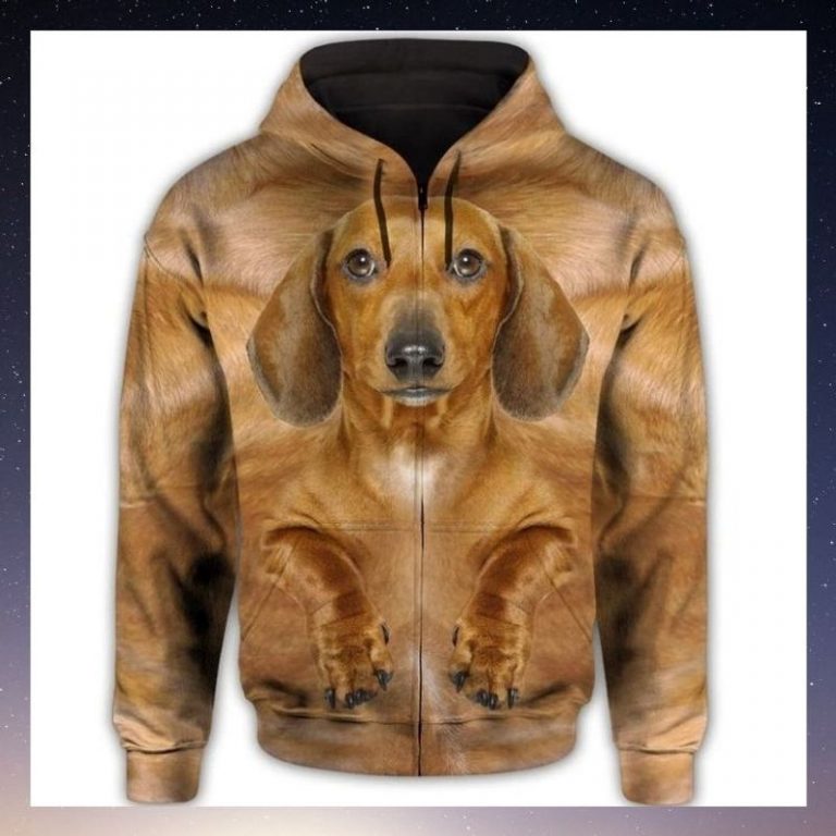 Dachshund Cute Face 3d all over print hoodie 1