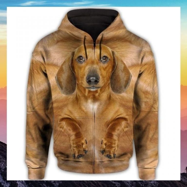 Dachshund Cute Face 3d all over print hoodie