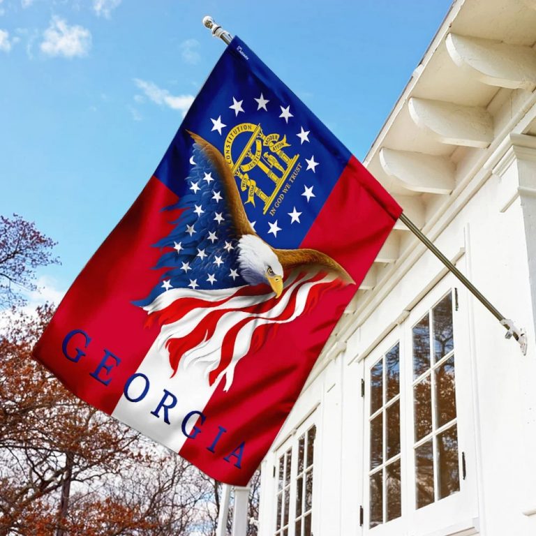 Georgia Eagle American Flag 1