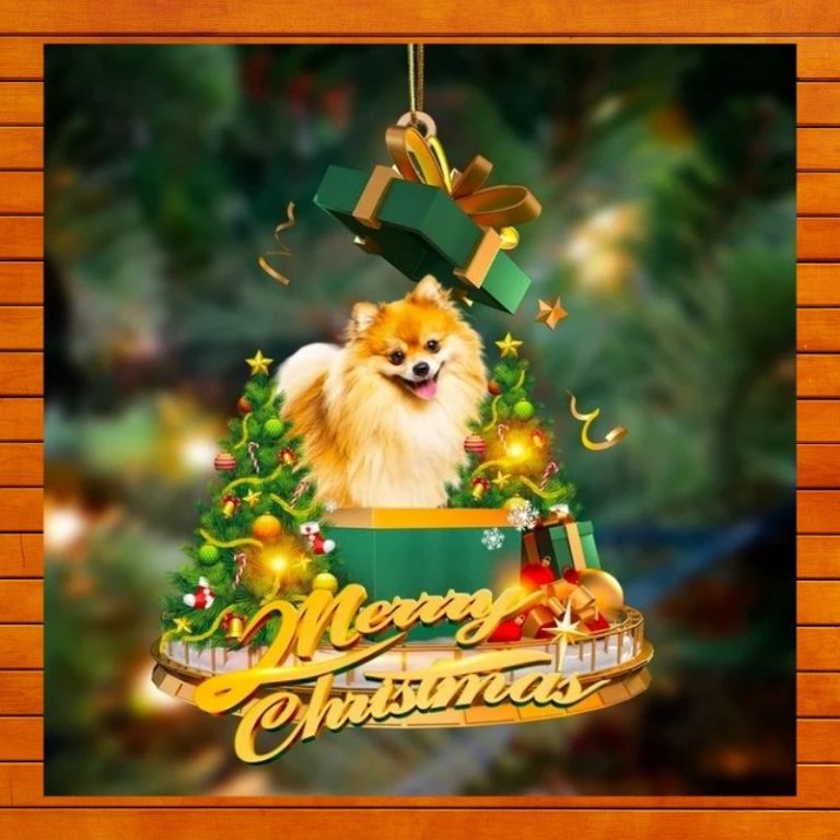 Pomeranian gift Merry Christmas Ornament 3