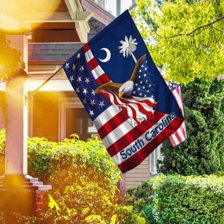 South Carolina Eagle American Flag 5
