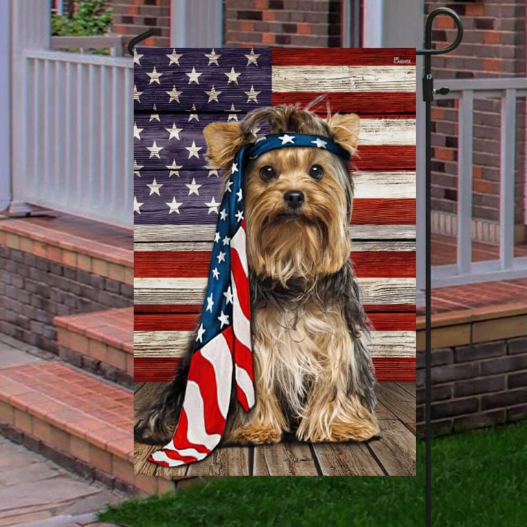 Yorkshire Terrier American flag 4