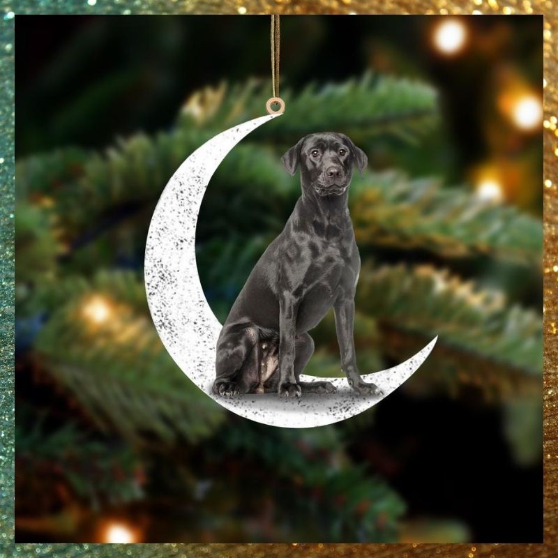 Black Labrador Sit On The Moon hanging ornament 2