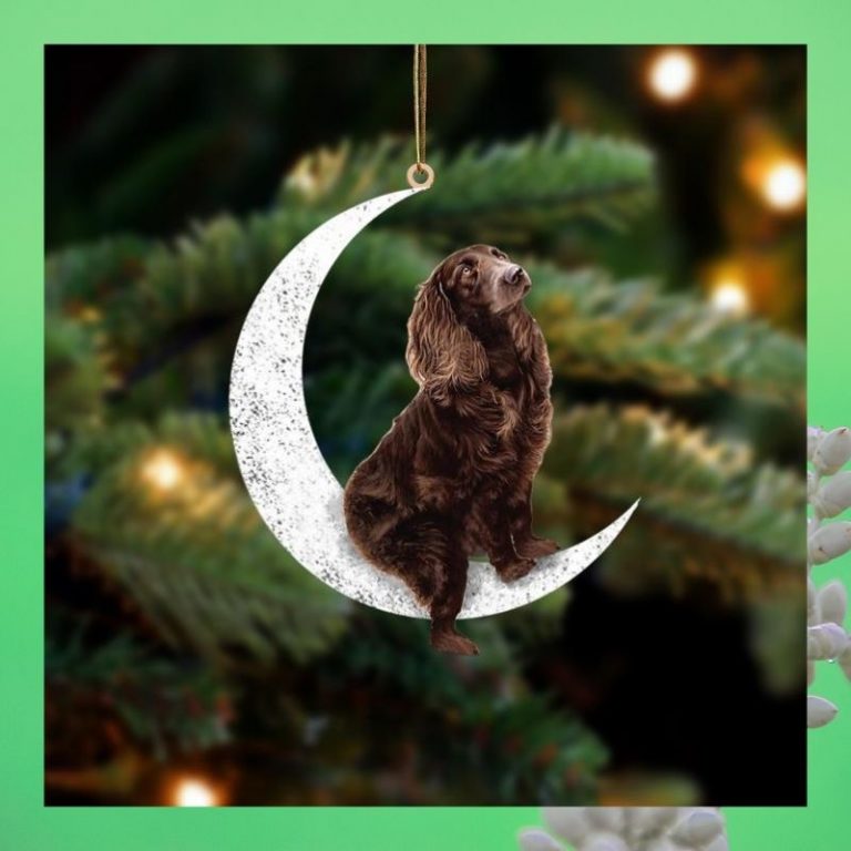 Boykin Spaniel sit on the moon ornament 2