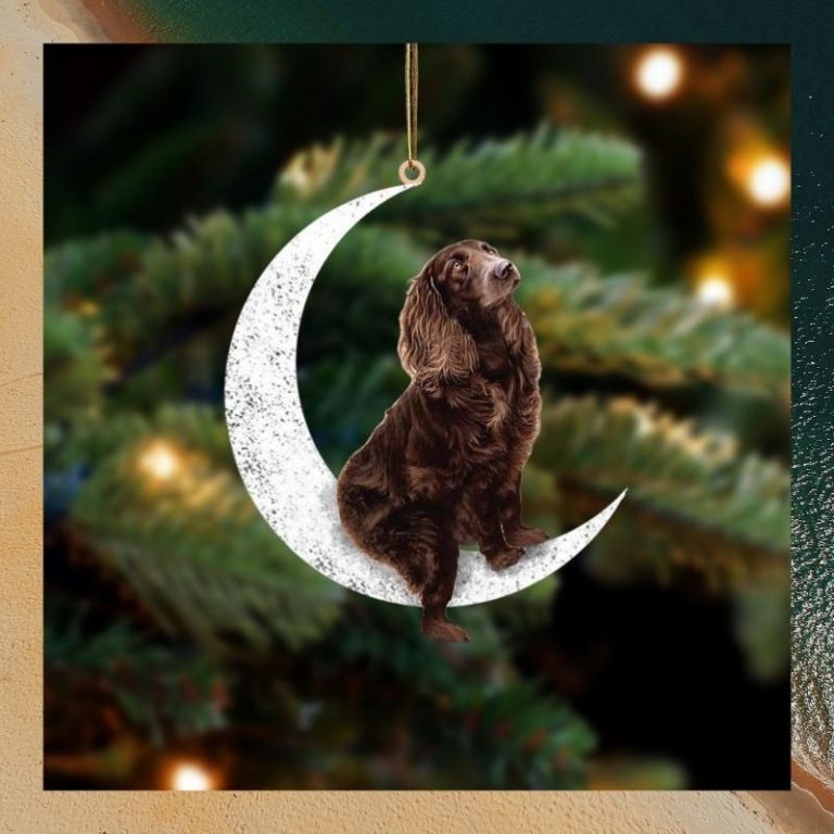 Boykin Spaniel sit on the moon ornament 3