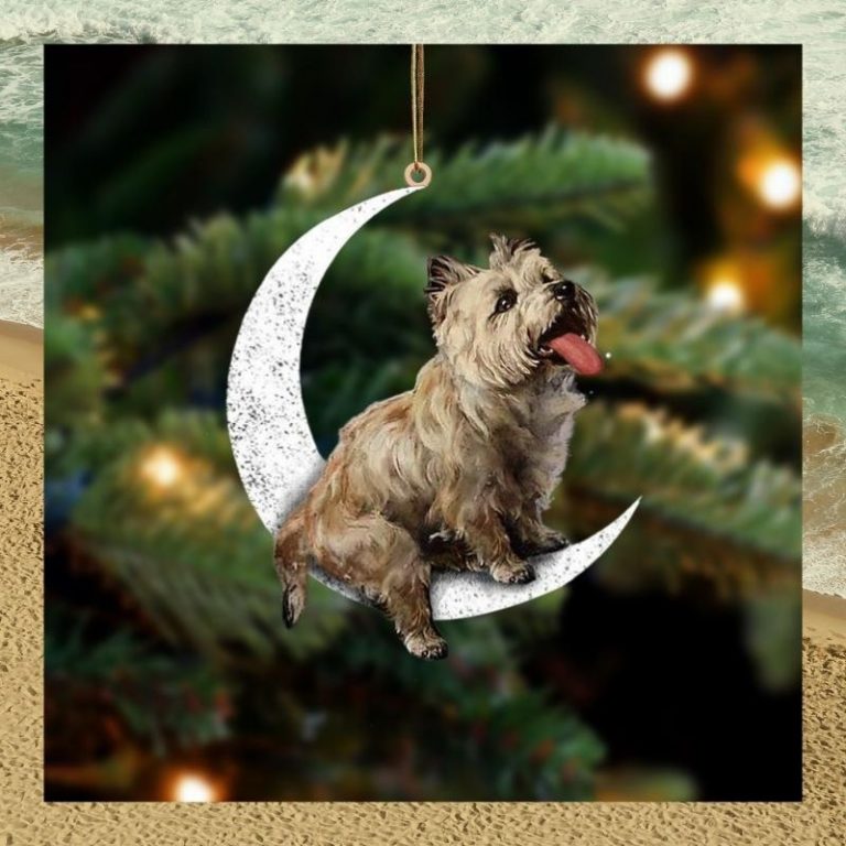 Cairn Terrier Sit On The Moon Ornament (2) Cairn Terrier sit on the moon ornament 2
