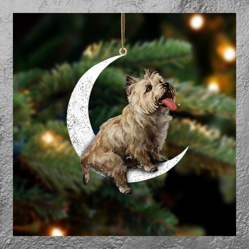 Cairn Terrier sit on the moon ornament 3 Cairn Terrier sit on the moon ornament 3