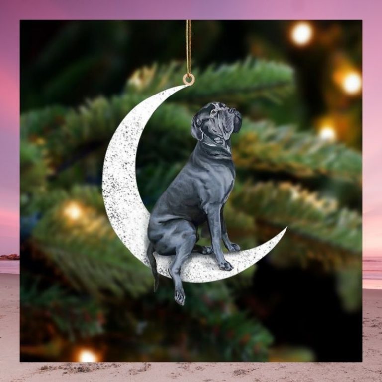 Cane corso sit on the moon ornament 2