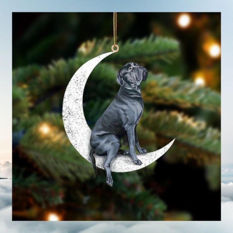 Cane corso sit on the moon ornament 3