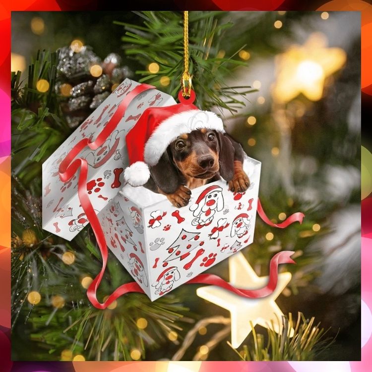 Dachshund Christmas Gift hanging ornament 2 Dachshund Christmas Gift hanging ornament 2
