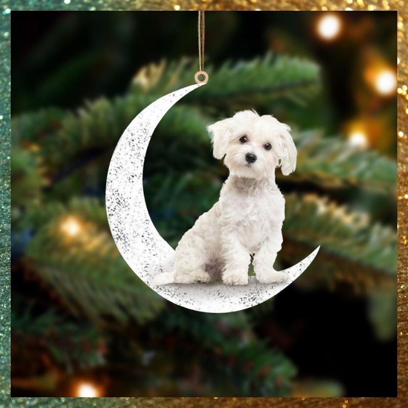 Maltese Sit On The Moon hanging ornament 3 Maltese Sit On The Moon hanging ornament 1