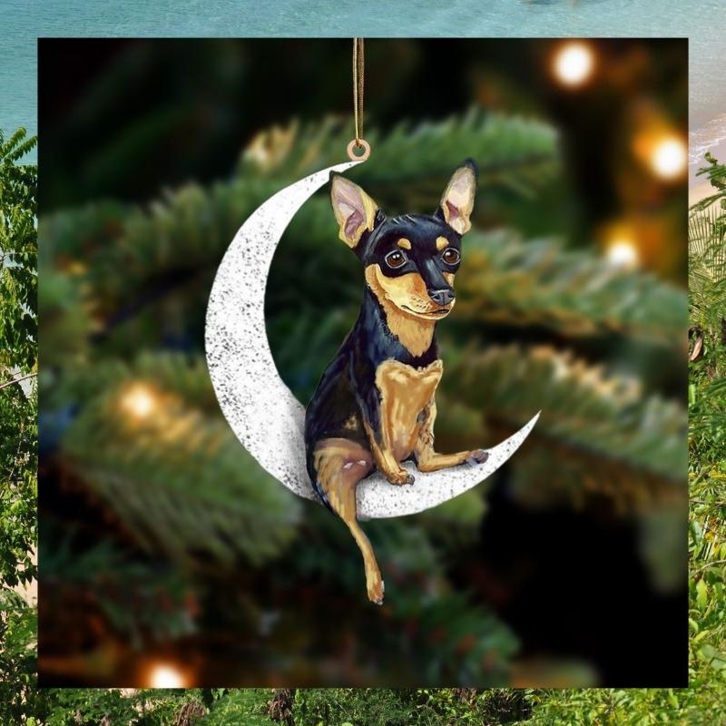 Miniature Pinscher sit on the moon ornament 2 Miniature Pinscher sit on the moon ornament 2