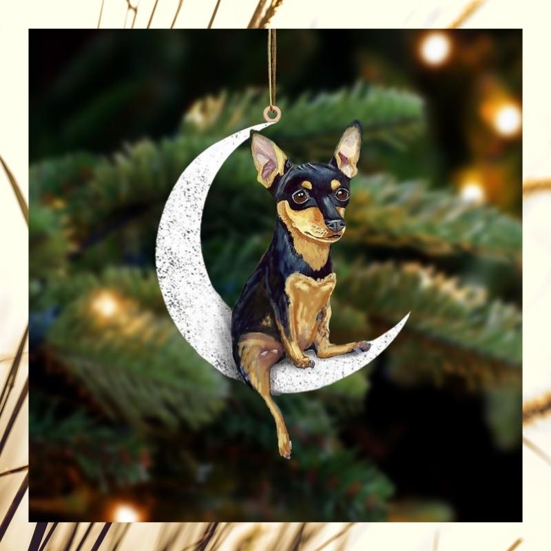 Miniature Pinscher sit on the moon ornament 3 Miniature Pinscher sit on the moon ornament 3