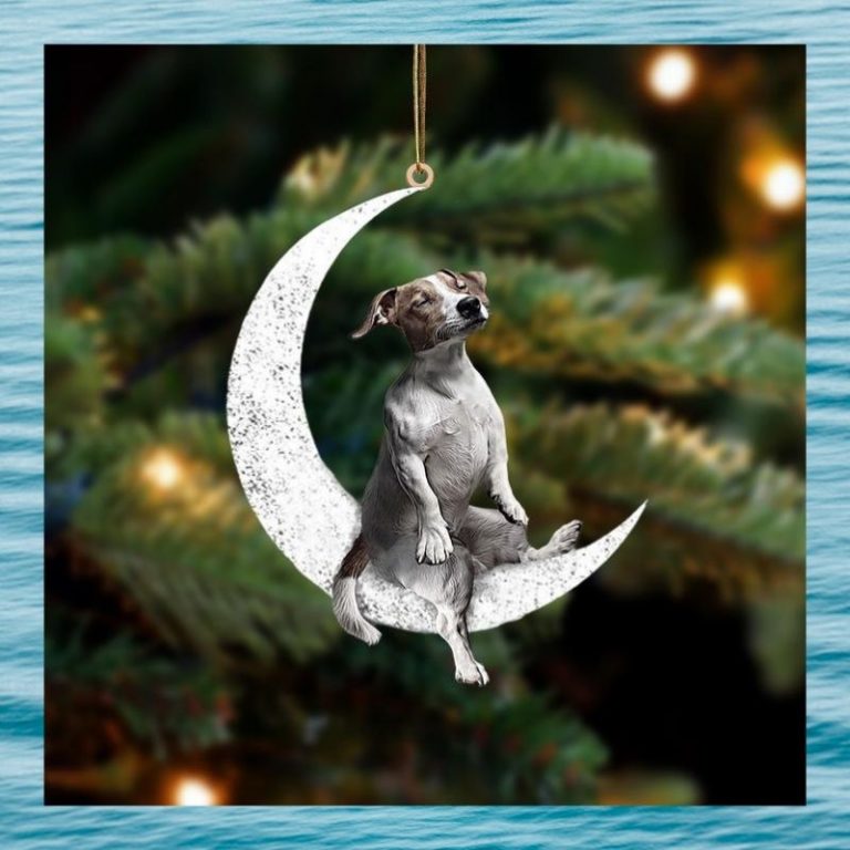 Moon and Jack Russell Terrier ornament 2