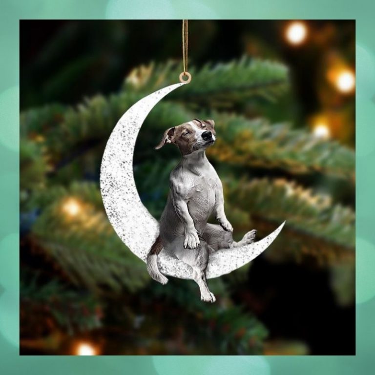 Moon and Jack Russell Terrier ornament 3