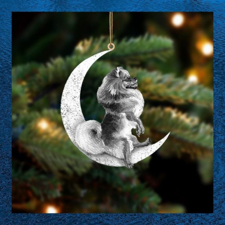 Moon and Pomeranian ornament 2
