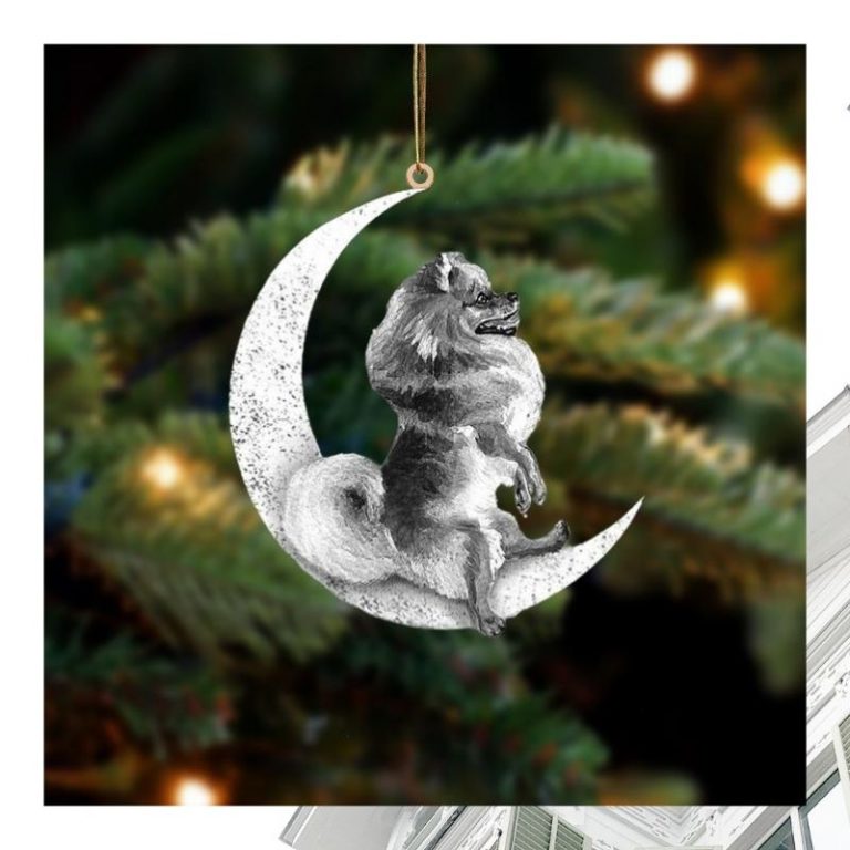 Moon and Pomeranian ornament 3