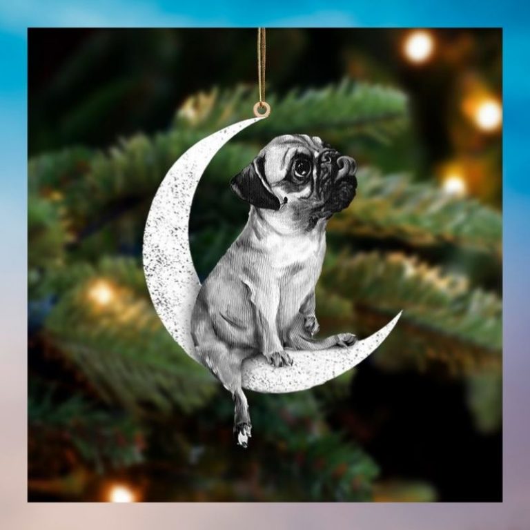Moon and Pug ornament 3