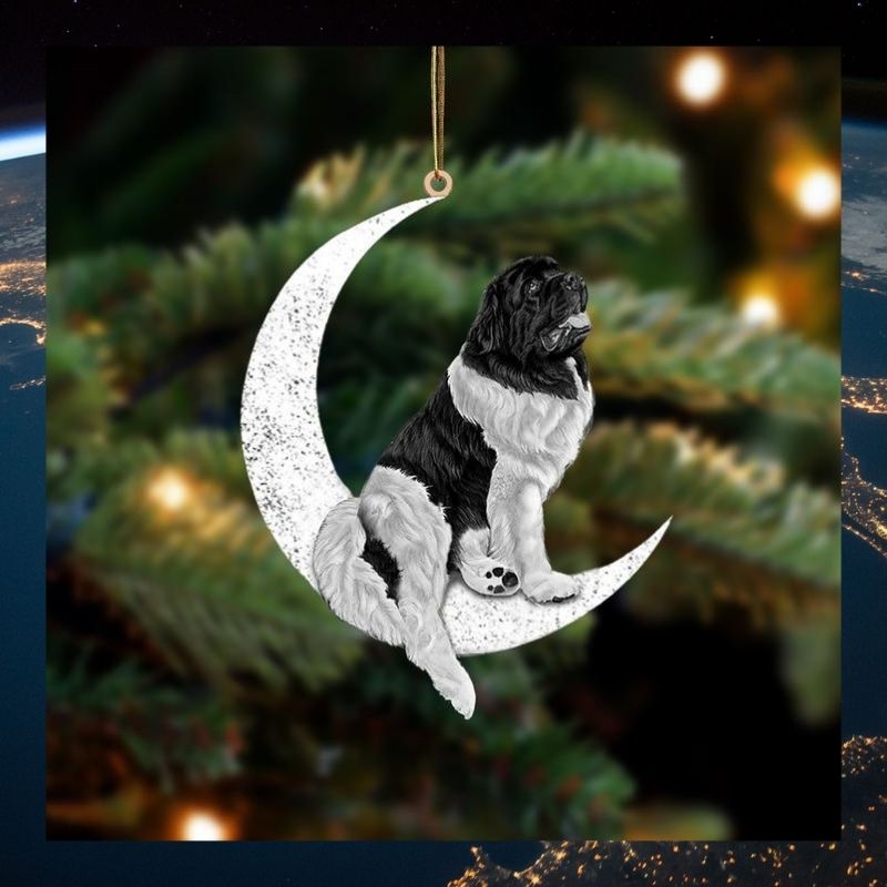 Newfoundland Dog sit on the moon ornament 2 Newfoundland Dog sit on the moon ornament 2