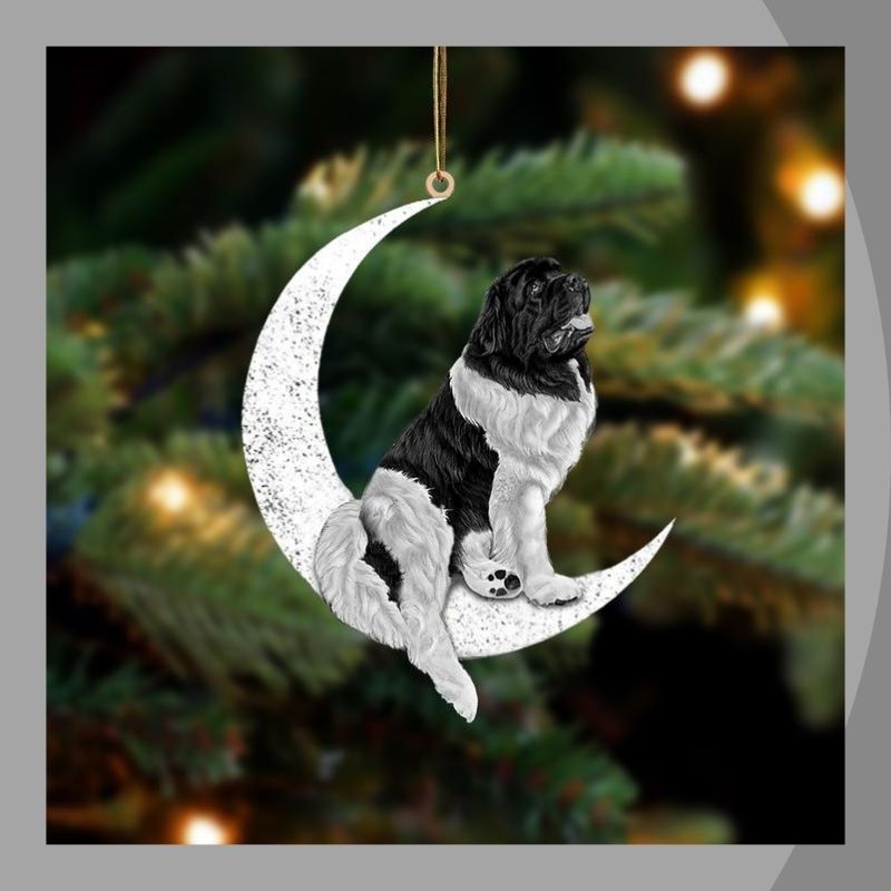 Newfoundland Dog sit on the moon ornament 3 Newfoundland Dog sit on the moon ornament 3
