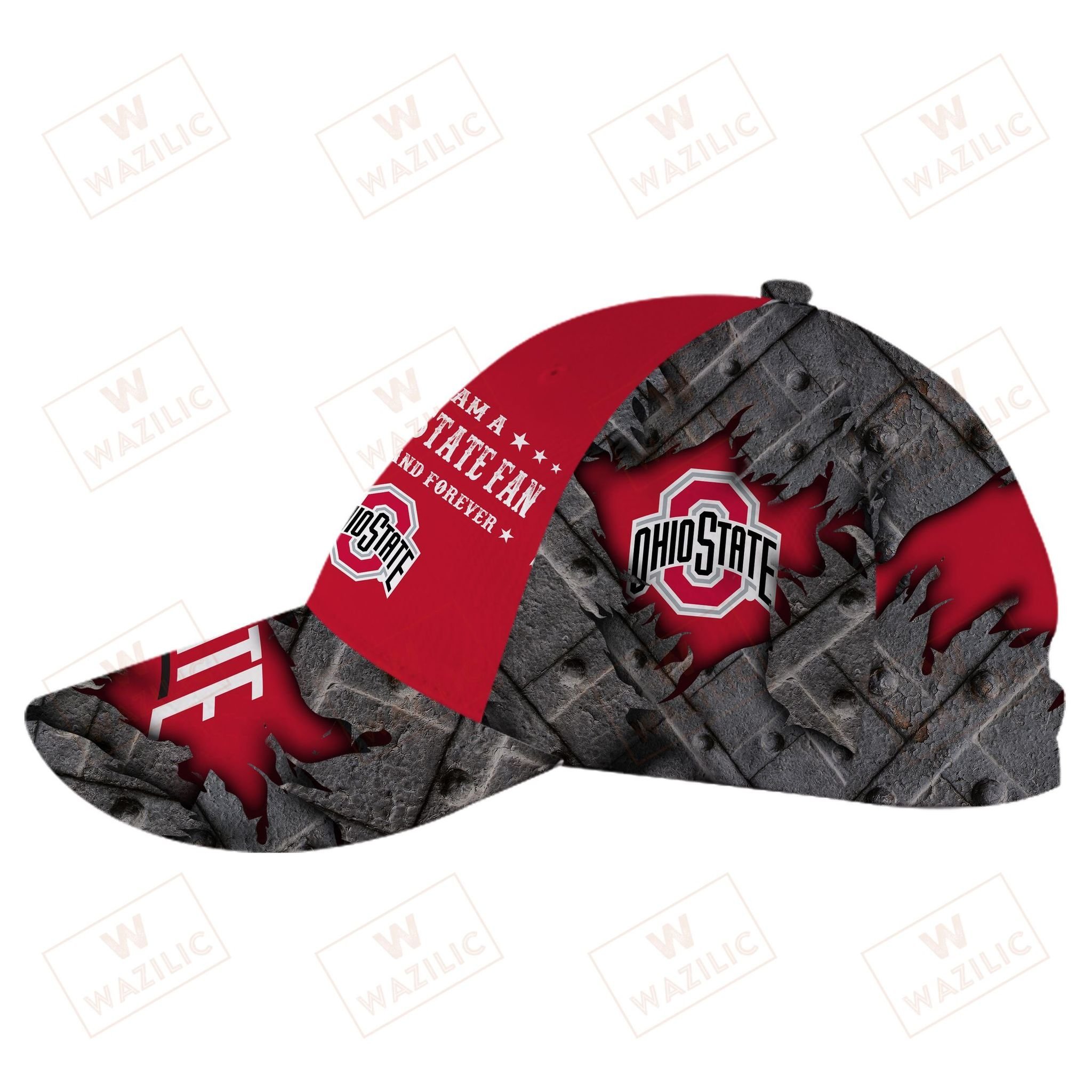 Ohio State Buckeyes I am a Fan now and forever cap hat 2 Ohio State Buckeyes I am a Fan now and forever cap hat 3