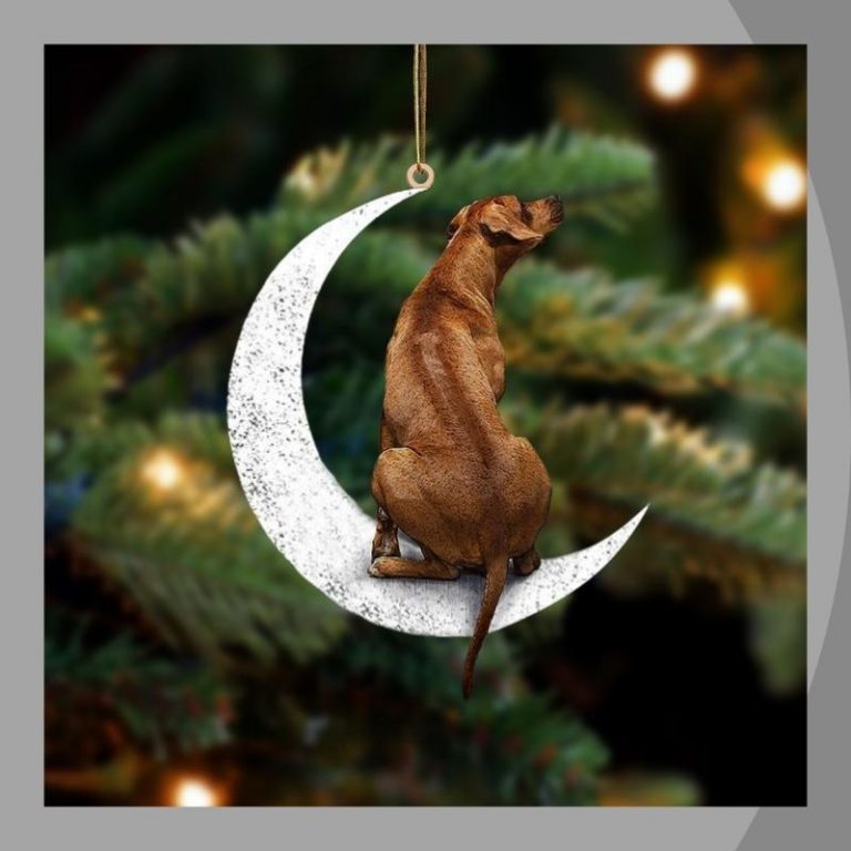Rhodesian Ridgeback sit on the moon ornament 2