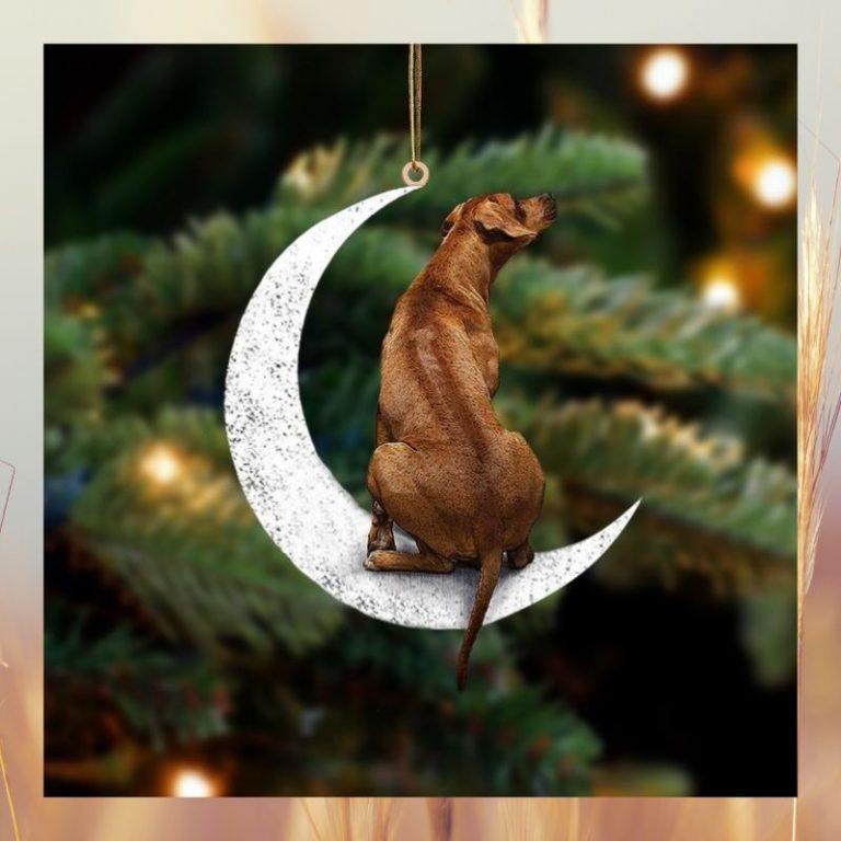 Rhodesian Ridgeback sit on the moon ornament 3