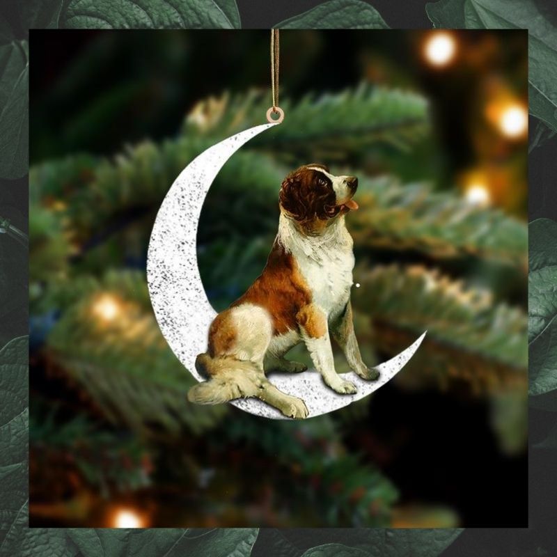 St Bernard sit on the moon ornament 3 St Bernard sit on the moon ornament 3