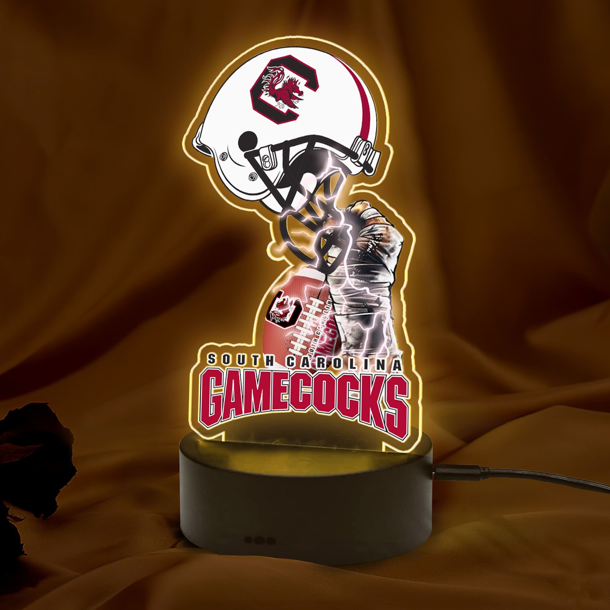 NCAA South Carolina Gamecocks Led Lamp 1