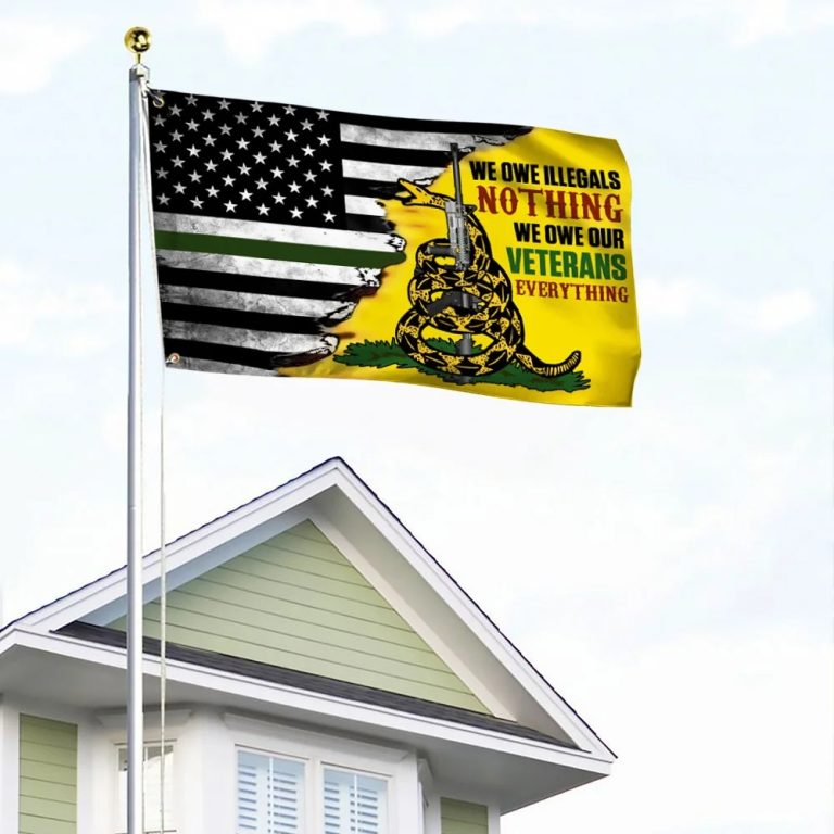 We Owe Illegals Nothing We Owe Our Veterans Everything Gadsden flag 4