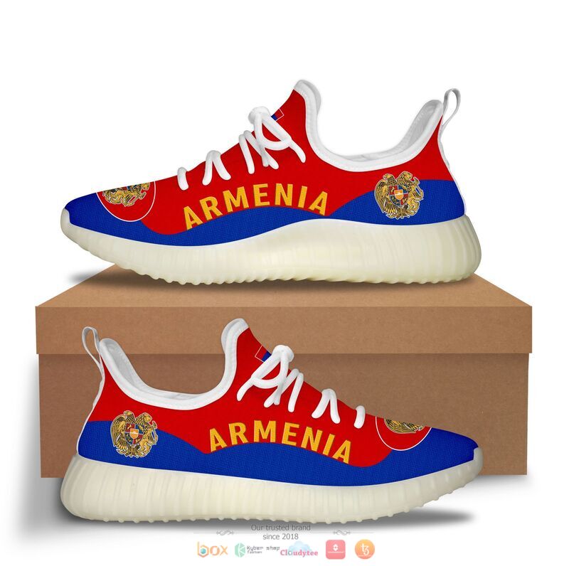 Armenia Flag Clunky Max soul shoes 1 Armenia Flag Clunky Max soul shoes
