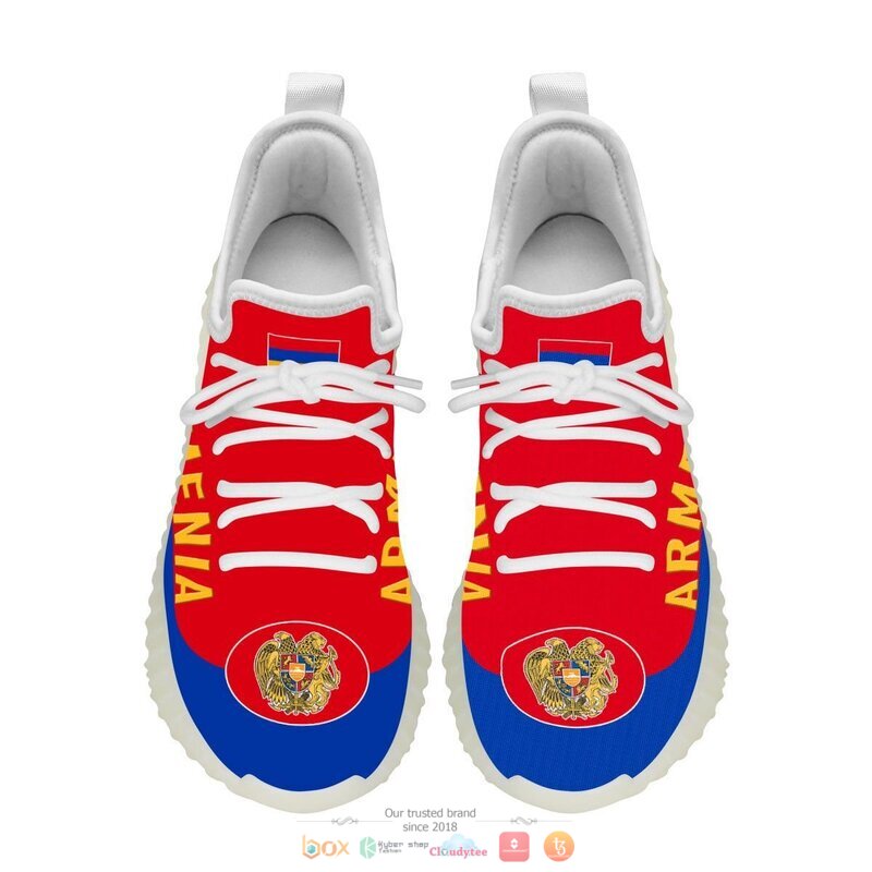Armenia Flag Clunky Max soul shoes 2 Armenia Flag Clunky Max soul shoes 1