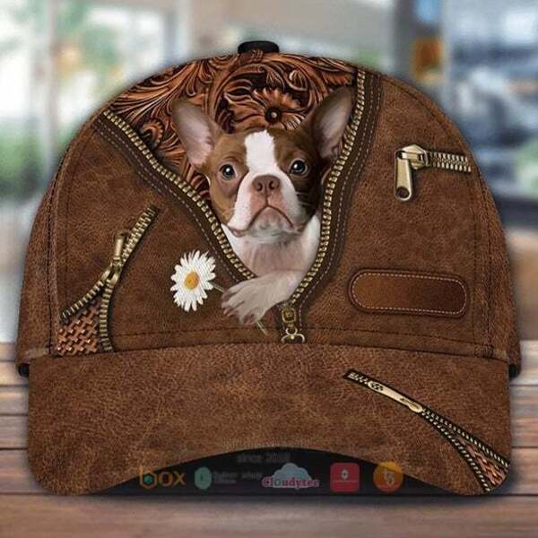 Boston Terrier Holding Daisy Cap Hat