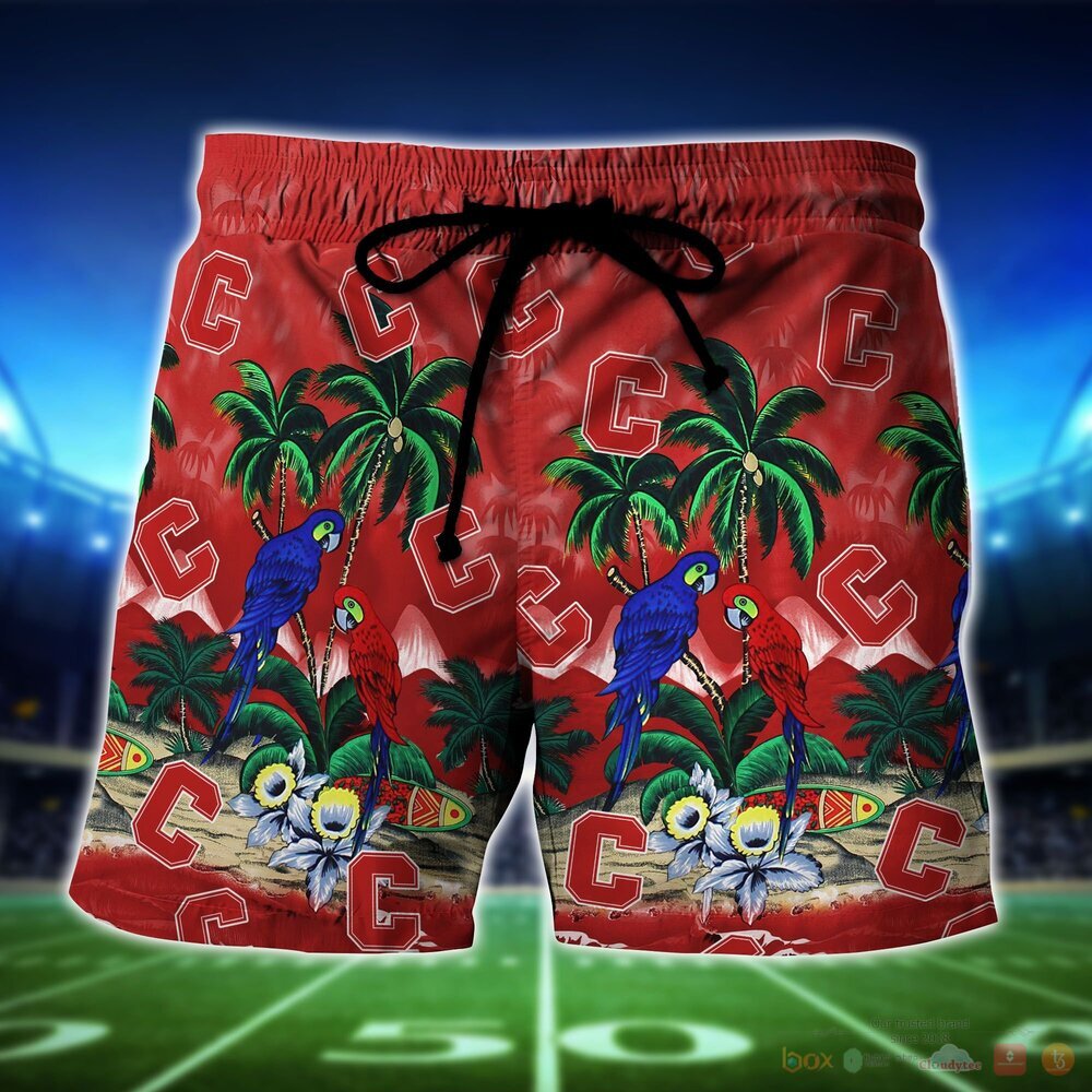 Cornell Big Red Parrot Island NCAA Hawaiian Shirt and Shorts 5 Cornell Big Red NCAA Island Hawaiian Shirt and Shorts 1 2 3 4