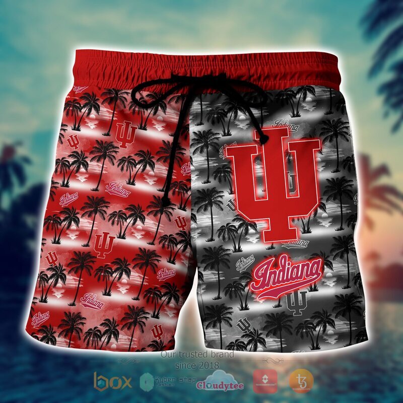 NCAA Indiana Hoosiers Coconut Hawaiian shirt, Short 4 NCAA Indiana Hoosiers Coconut Hawaiian shirt Short 1 2 3