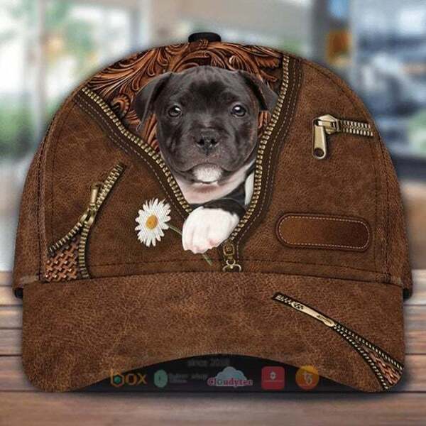 Staffordshire Bull Terrier Holding Daisy Cap Hat