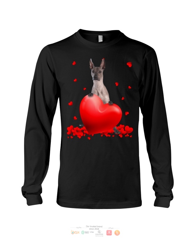 Valentine Hearts Xoloitzcuintli hoodie, shirt 3 Xoloitzcuintli Valentine Hearts shirt hoodie 1 2