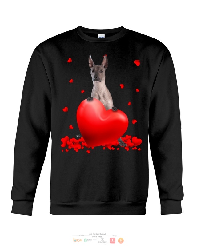 Valentine Hearts Xoloitzcuintli hoodie, shirt 5 Xoloitzcuintli Valentine Hearts shirt hoodie 1 2 3 4